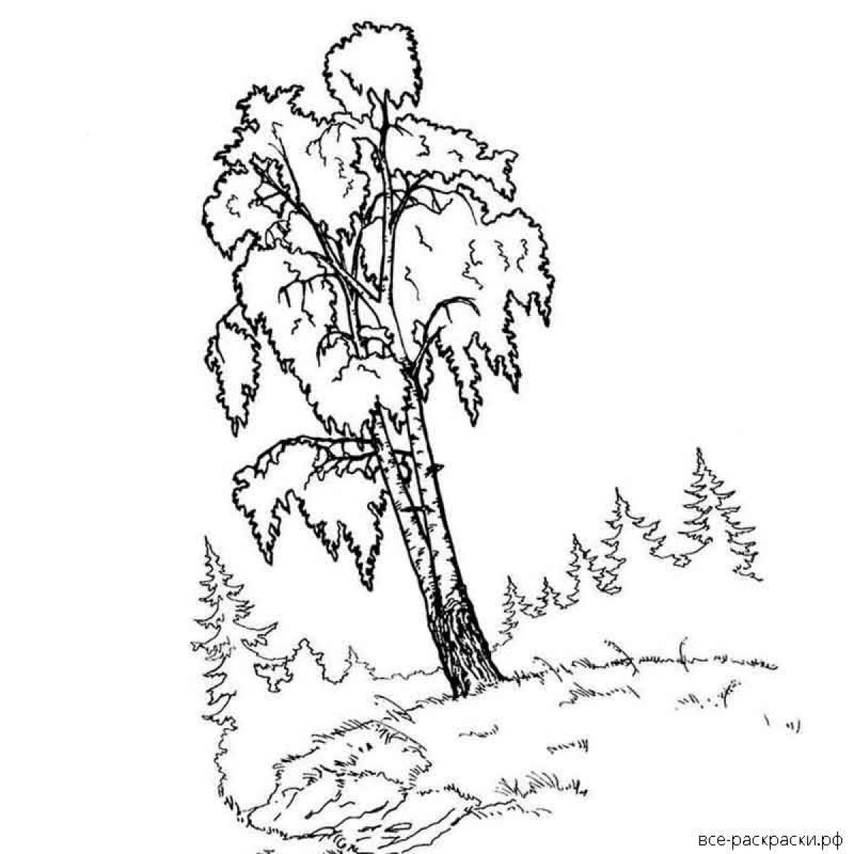 Glowing birch coloring book for kids