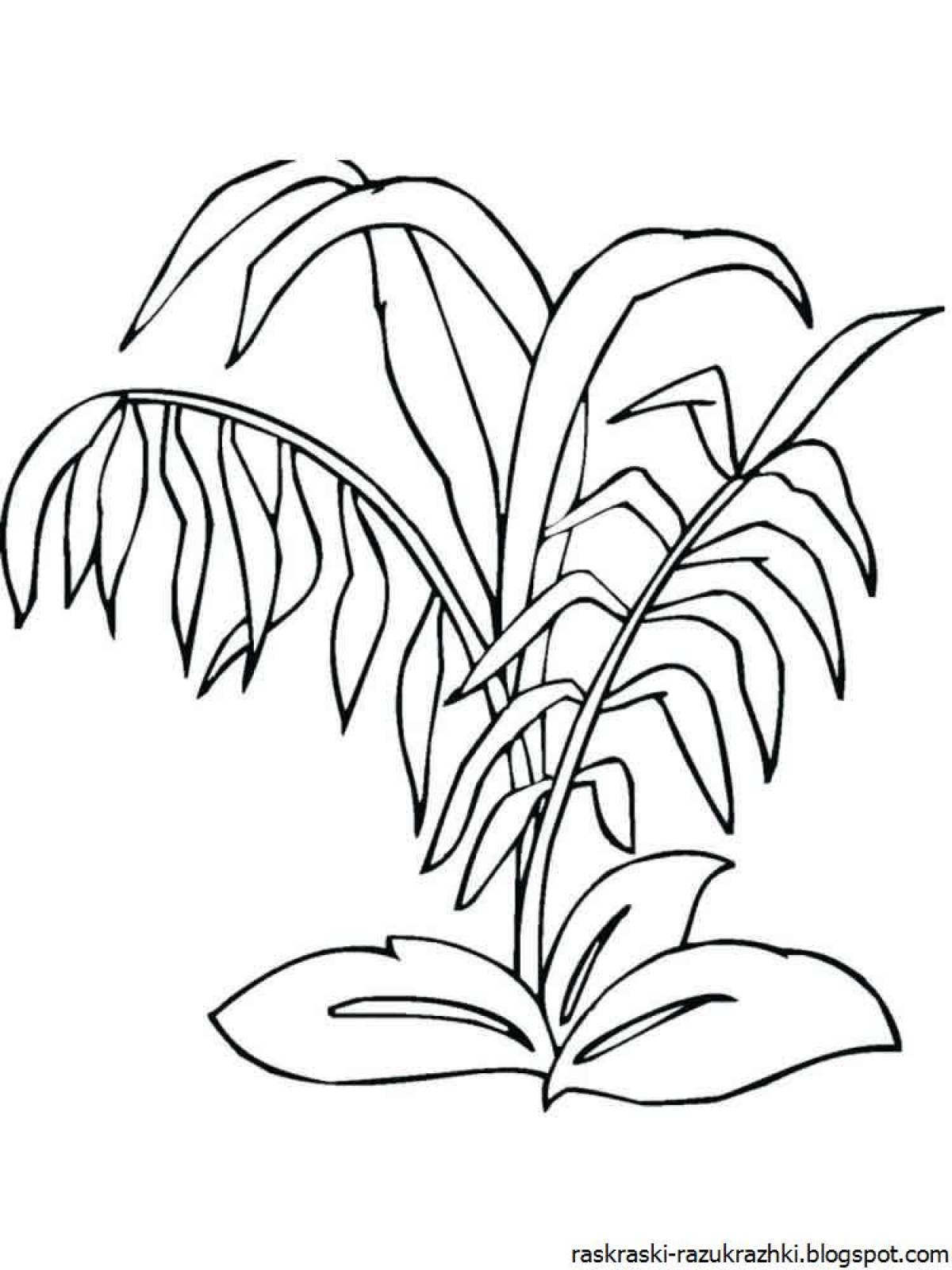 Plant coloring. Растения. Раскраска. Растения раскраска для детей. Трава раскраска для детей. Тропические растения раскраска.