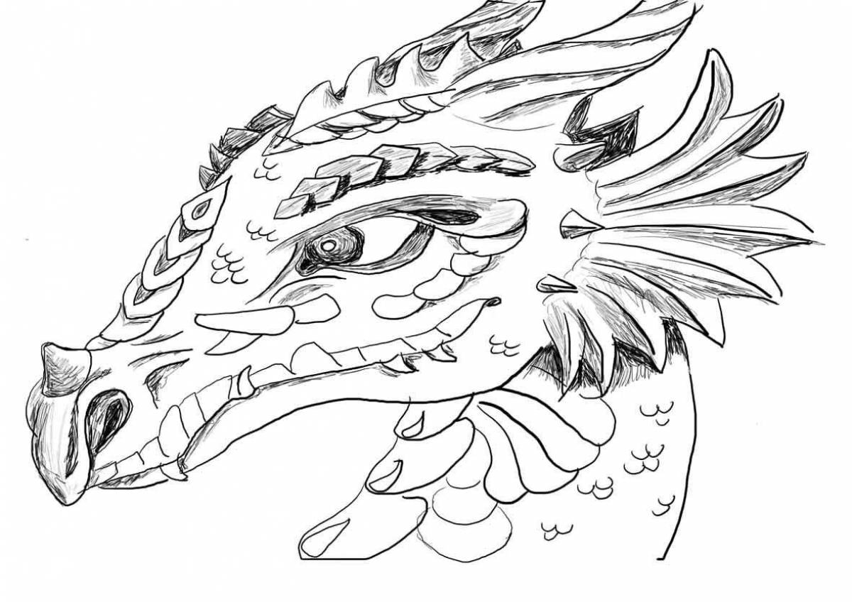 Colorful dragon coloring pages