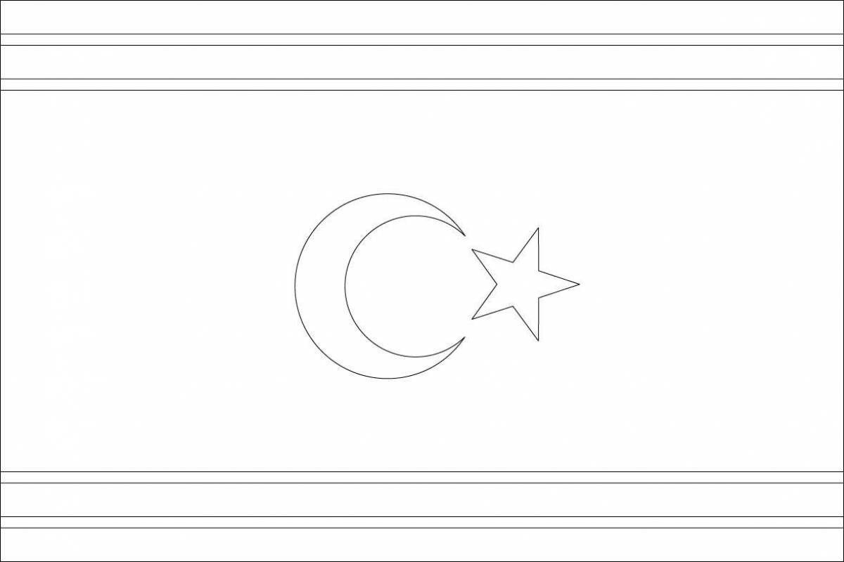Coloring page exquisite flag of kazakhstan