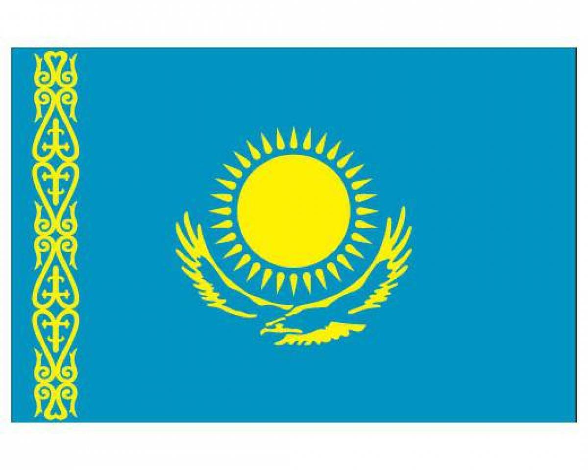 Coloring page playful flag of kazakhstan