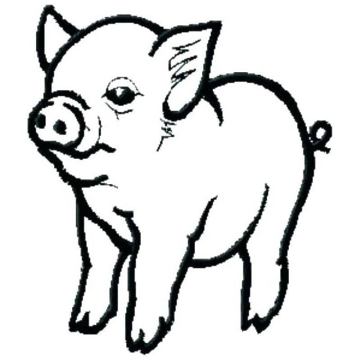 Pig friendly coloring book