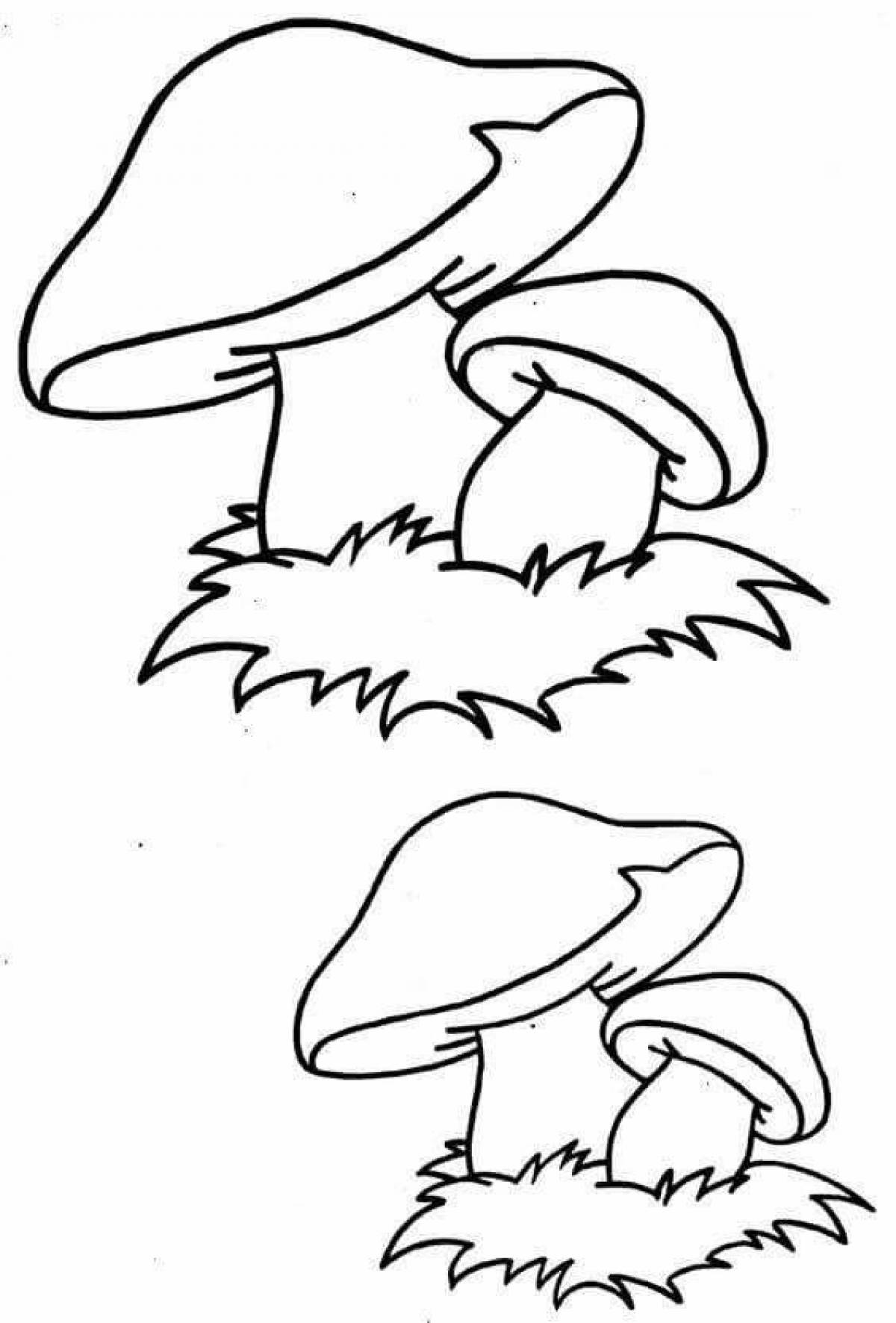 Bright mushroom coloring page