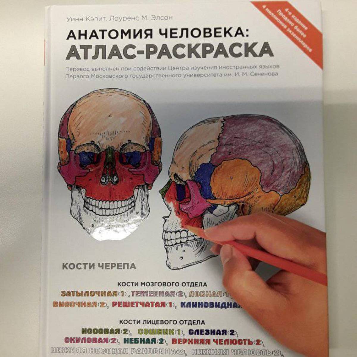 Glossy coloring atlas of human anatomy