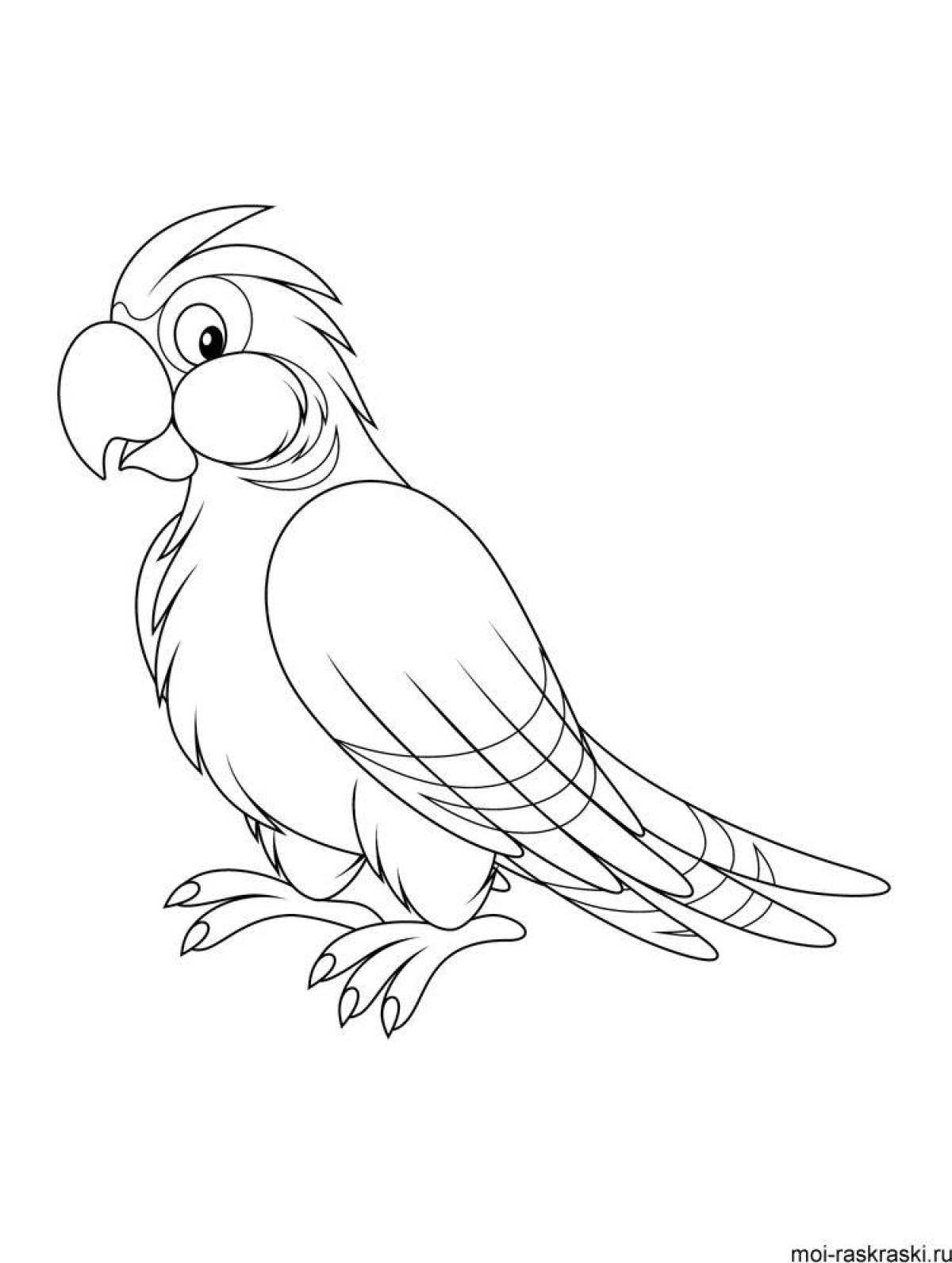 Раскраска радостный попугай