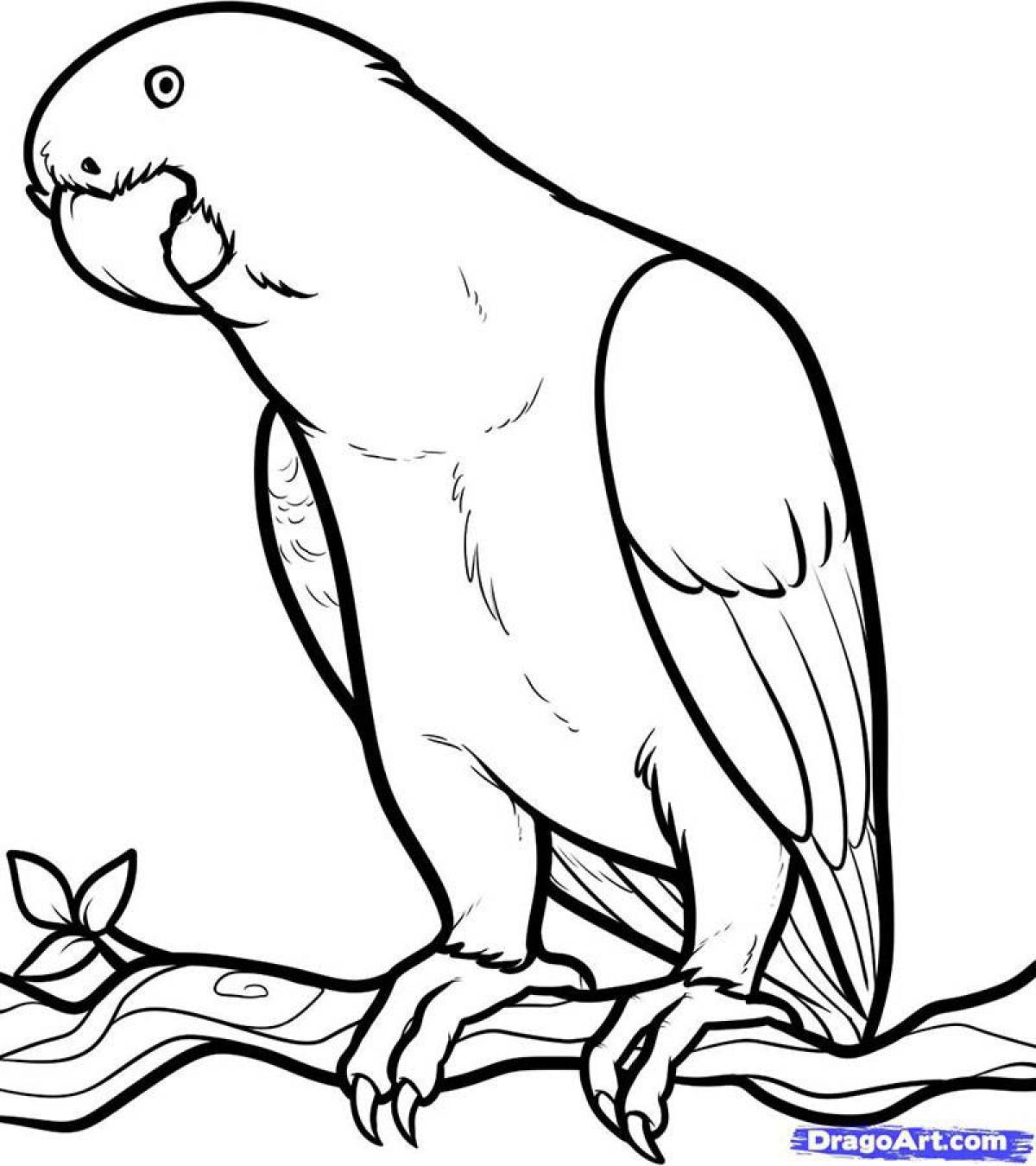 Coloring book glowing parrot