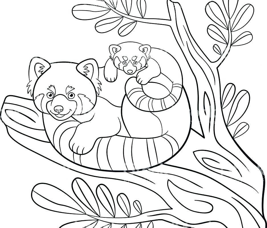 Funny red panda coloring book