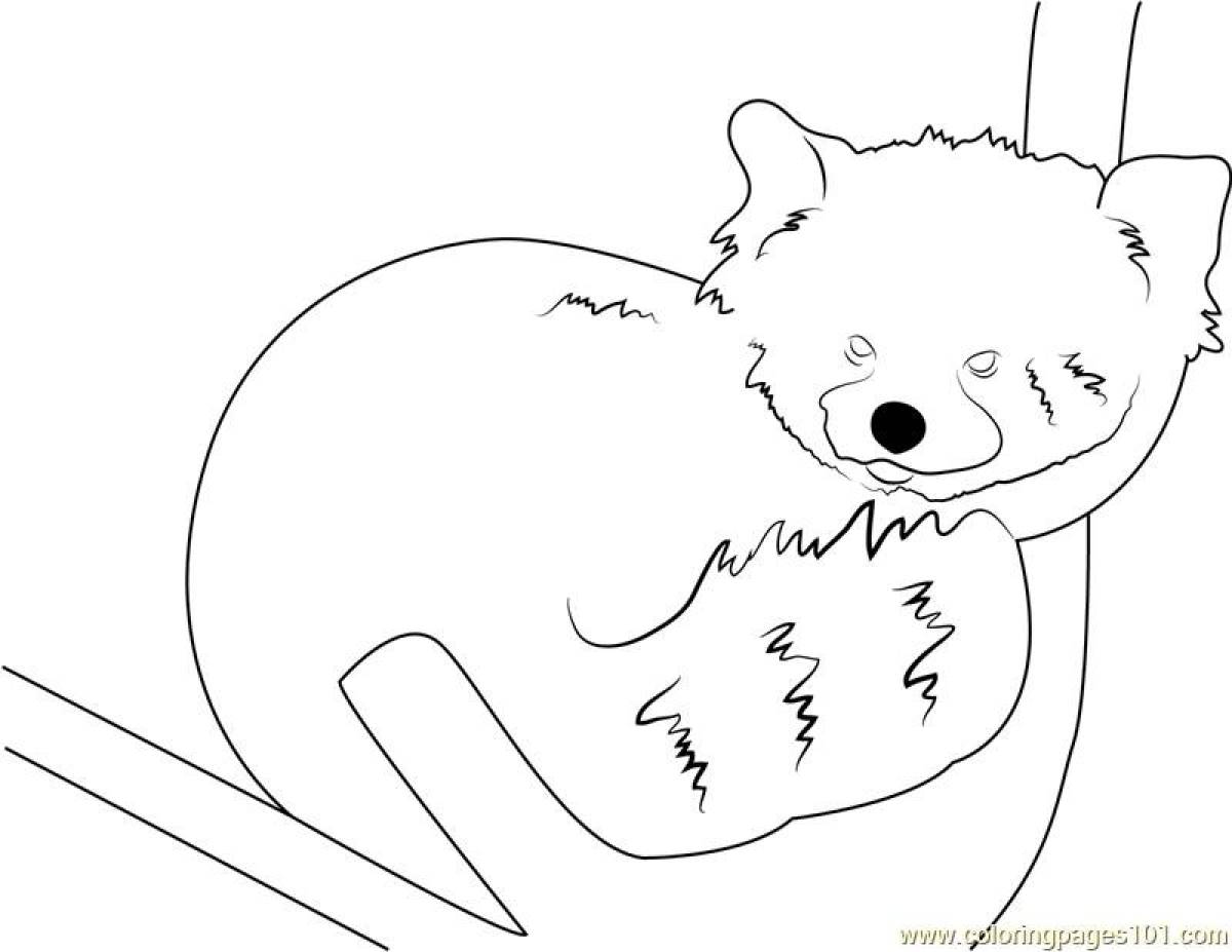Naughty red panda coloring page