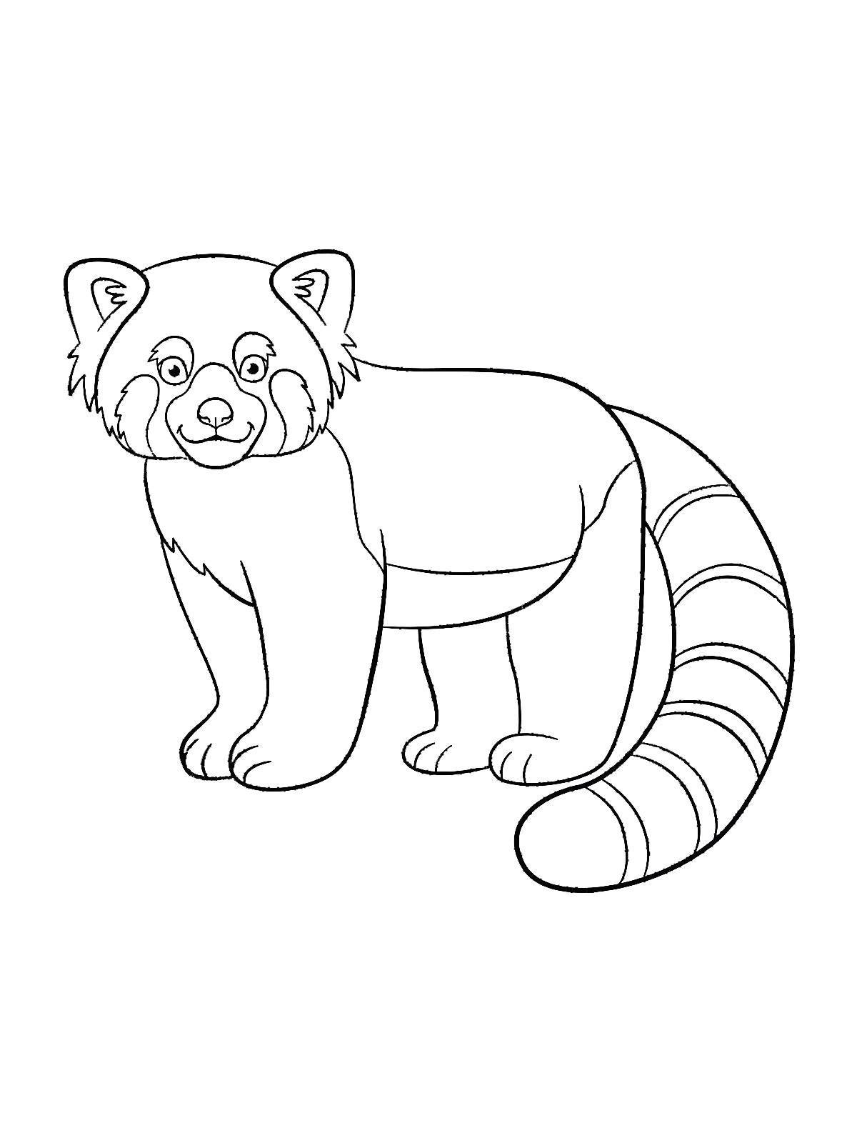 Coloring page magical red panda