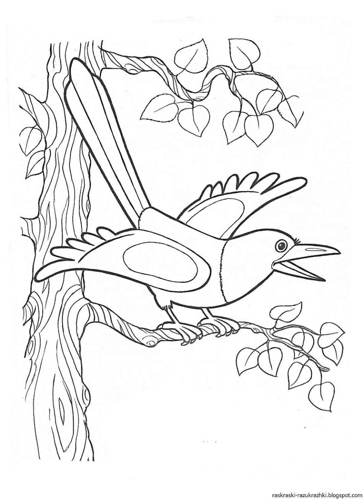 Joyful magpie coloring book for kids