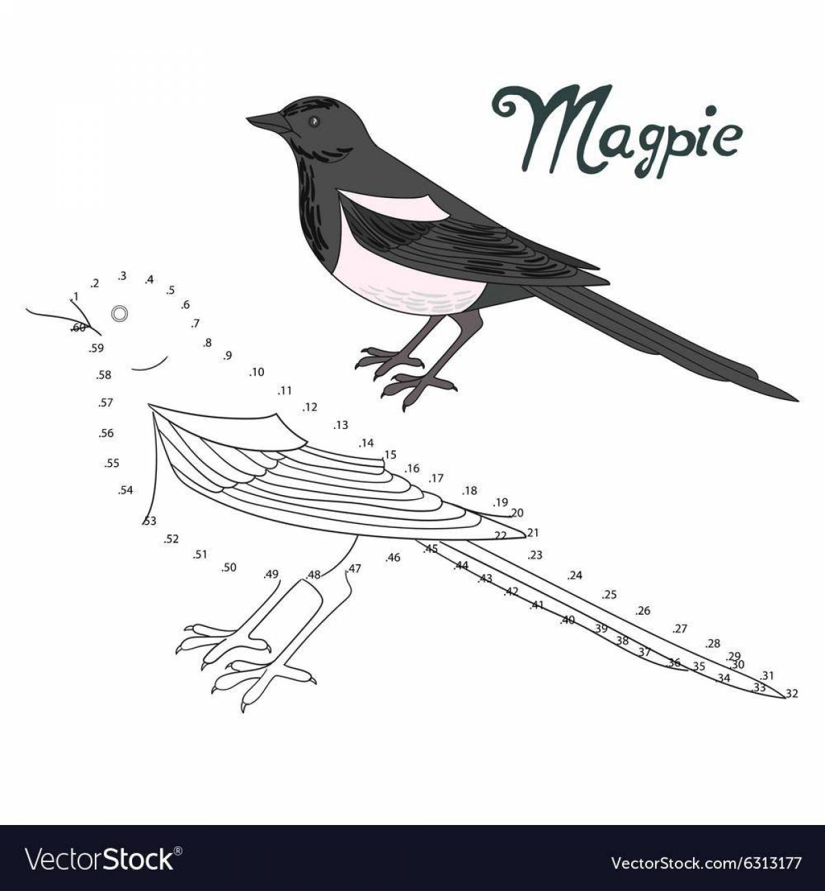 Magpie for kids #3
