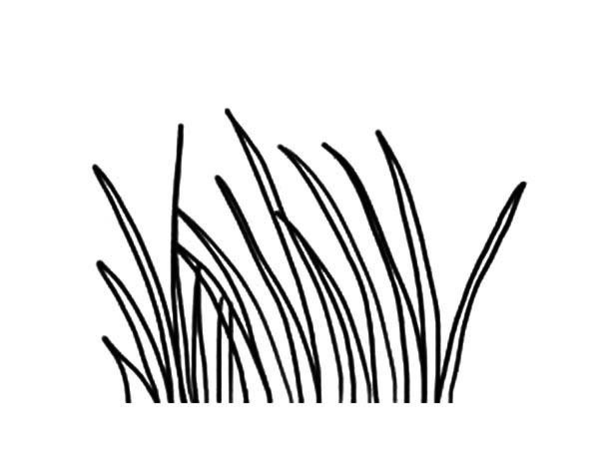 Буйная раскраска трава