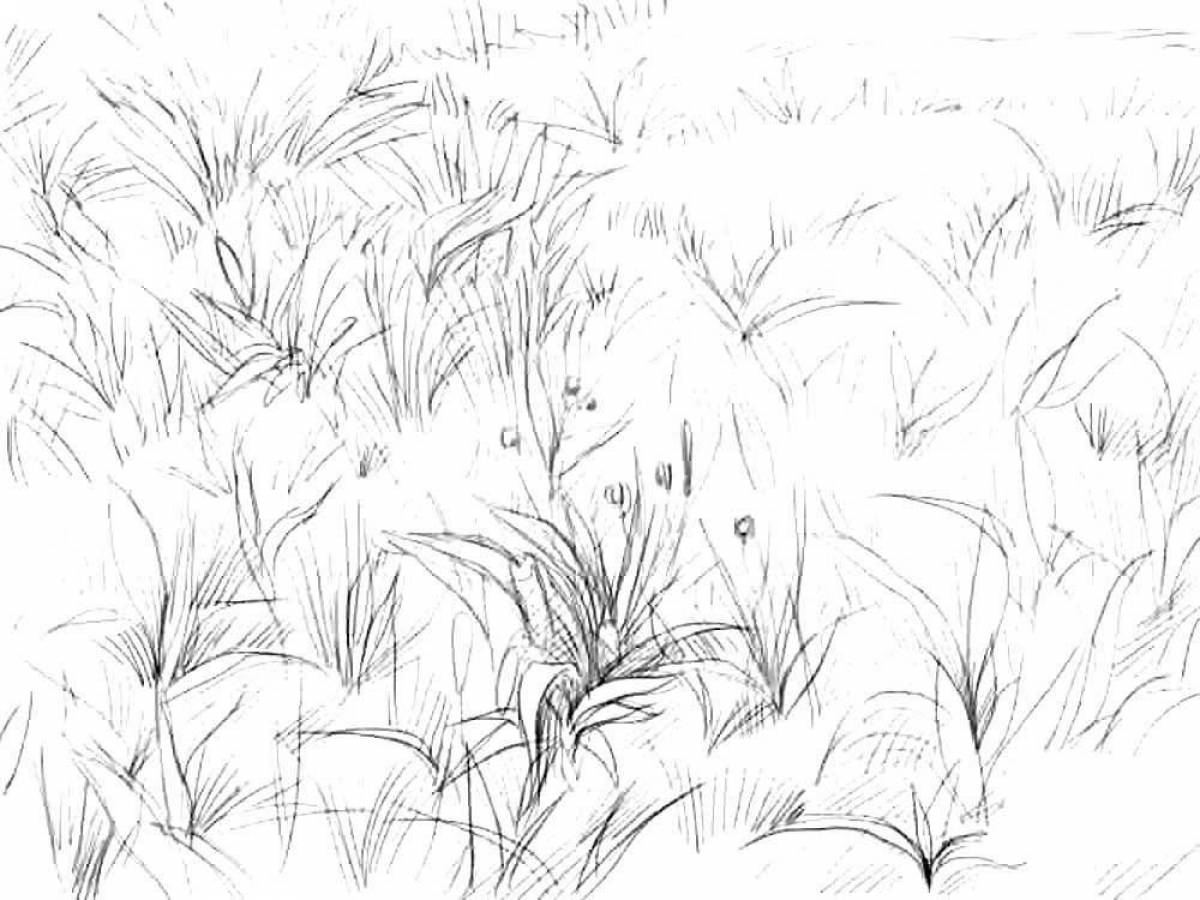 Grass #5