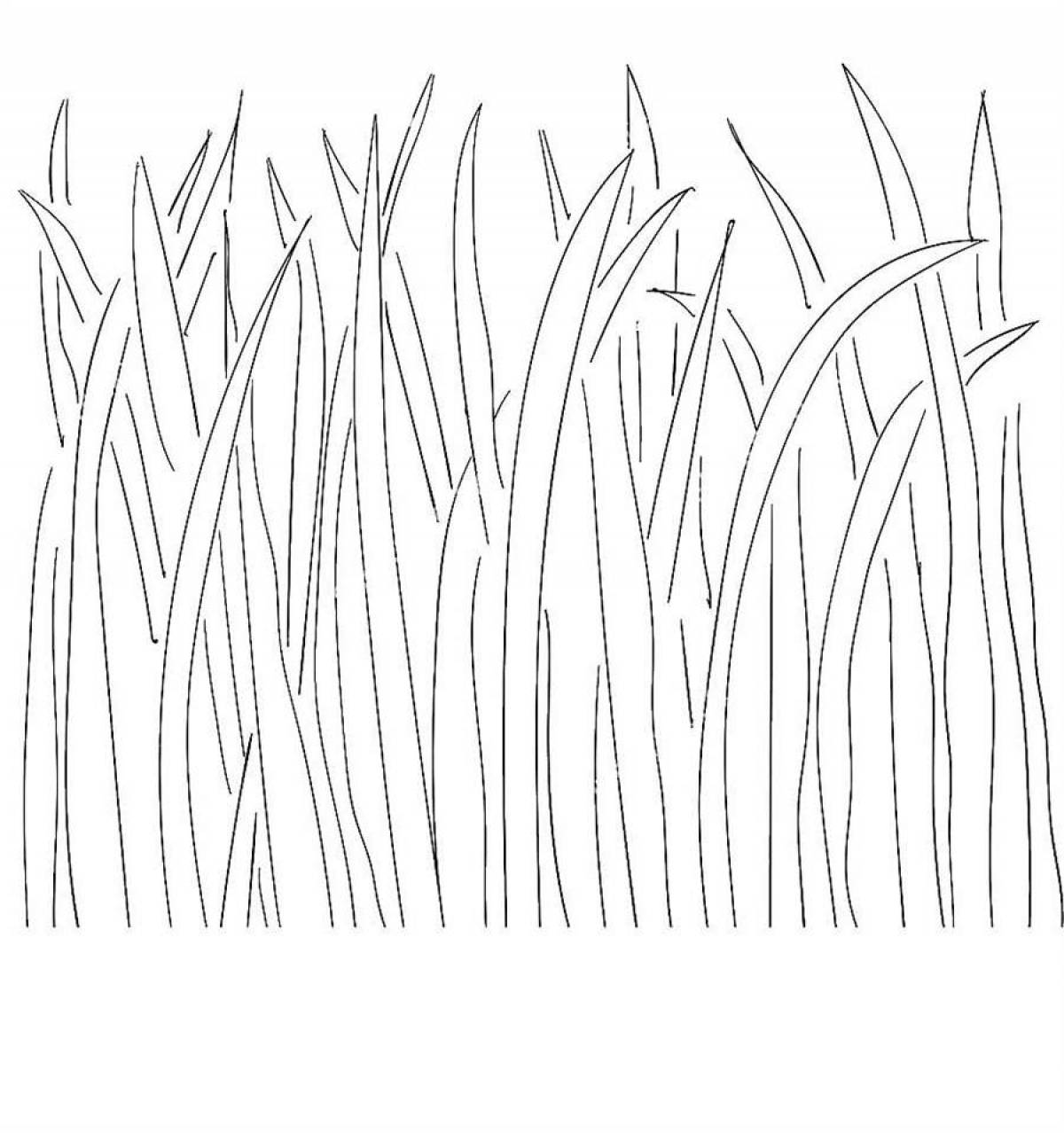 Grass #19