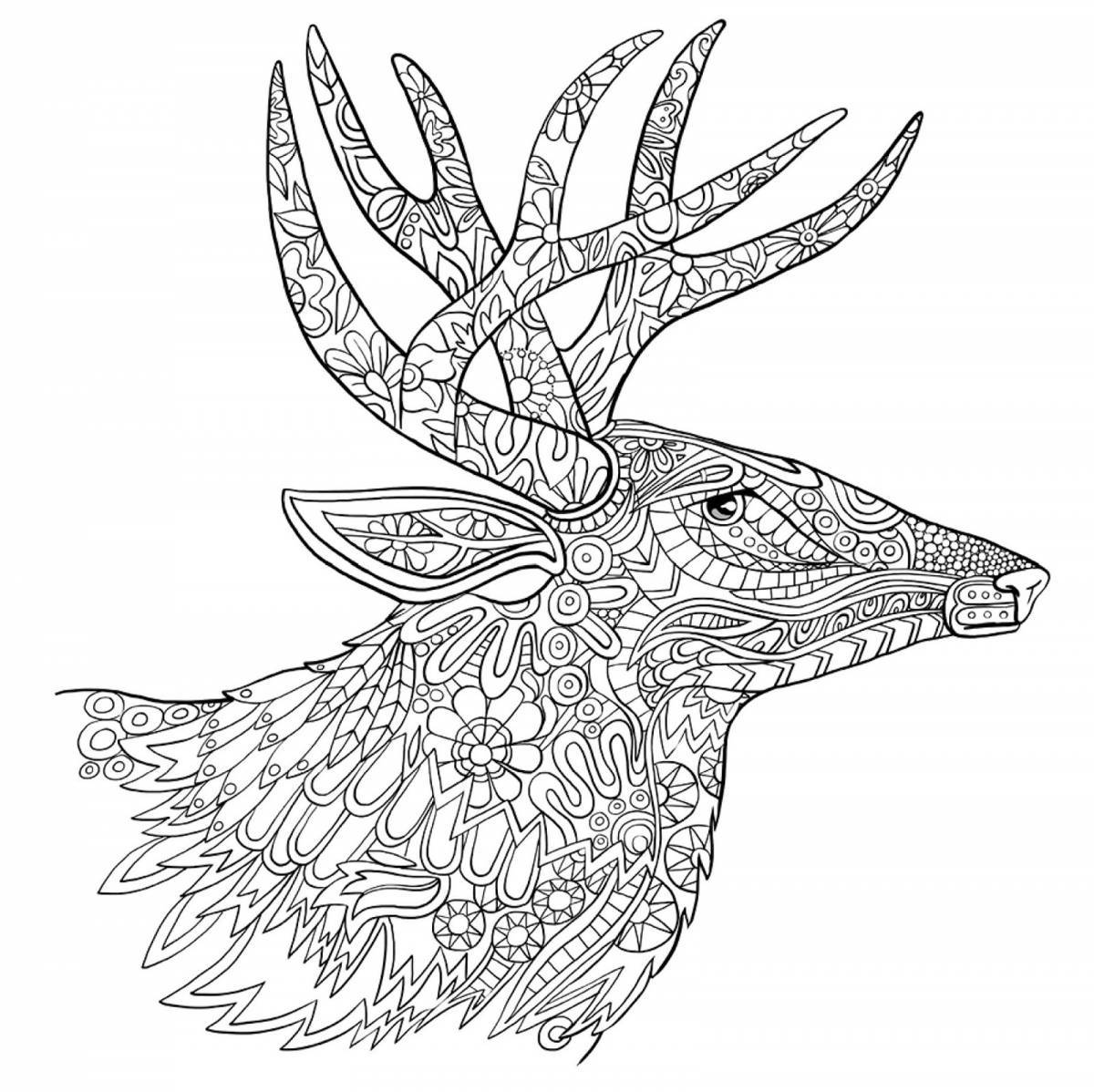Majestic animal coloring pages