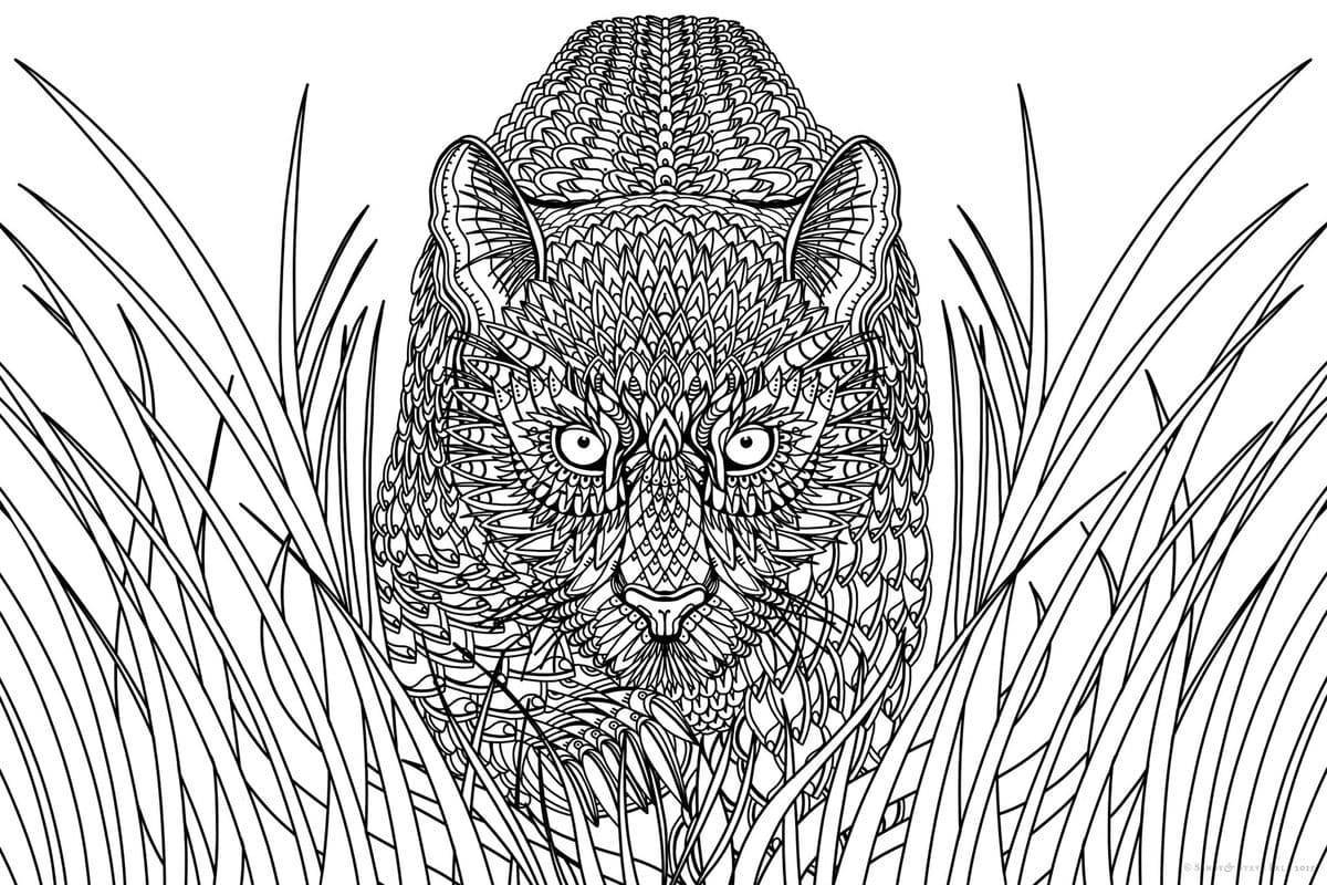 Amazing coloring pages with complex animals