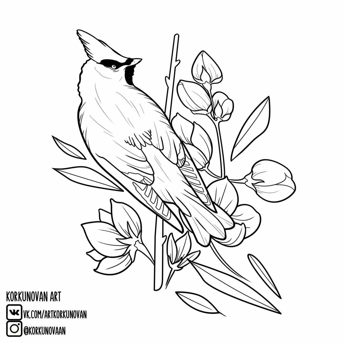 Coloring majestic waxwing