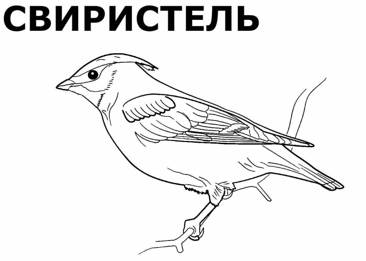 Playful waxwing coloring page