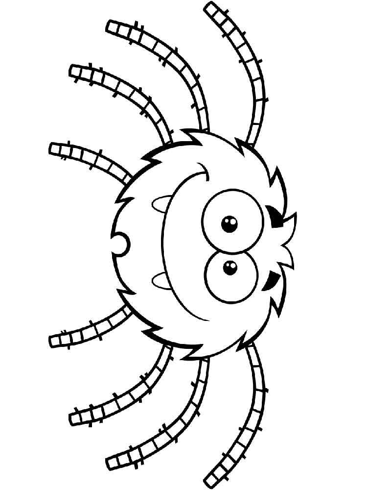 Playful spider coloring page