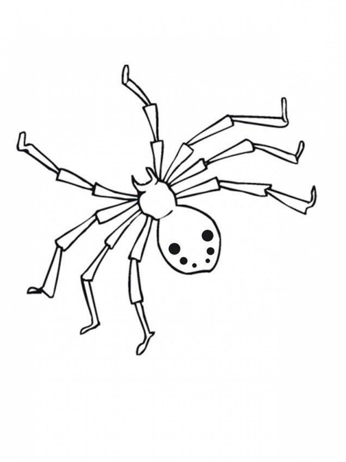 Очаровательная страница раскраски пауков