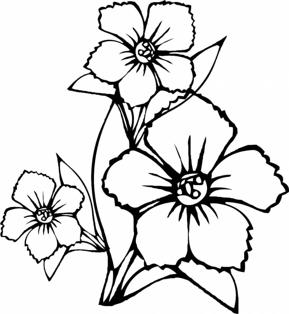 Gorgeous cauliflower coloring page
