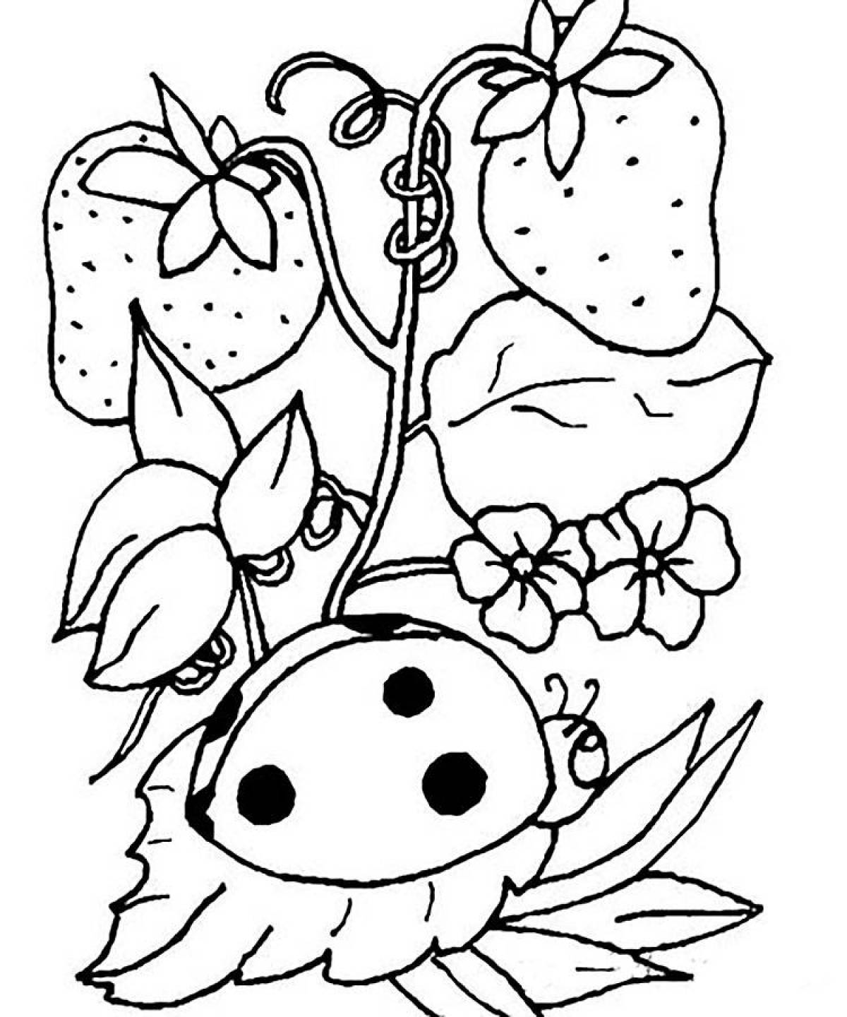 Coloring page wonderful cauliflower
