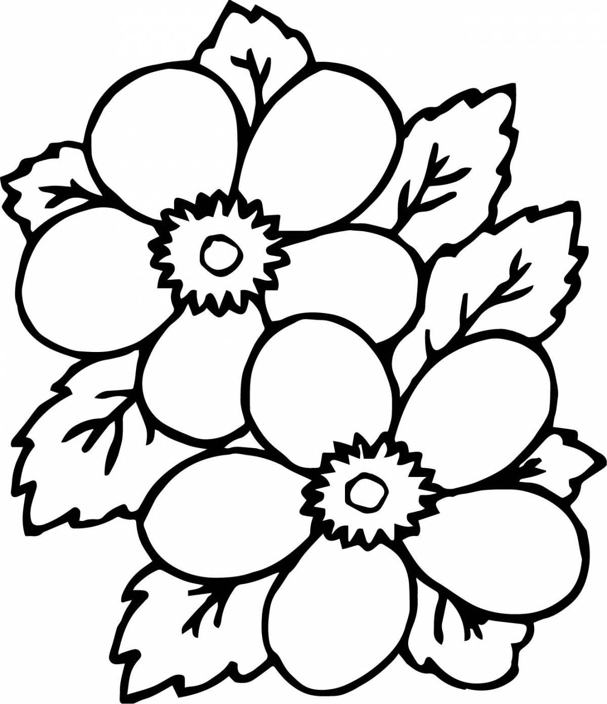 Outstanding cauliflower coloring page