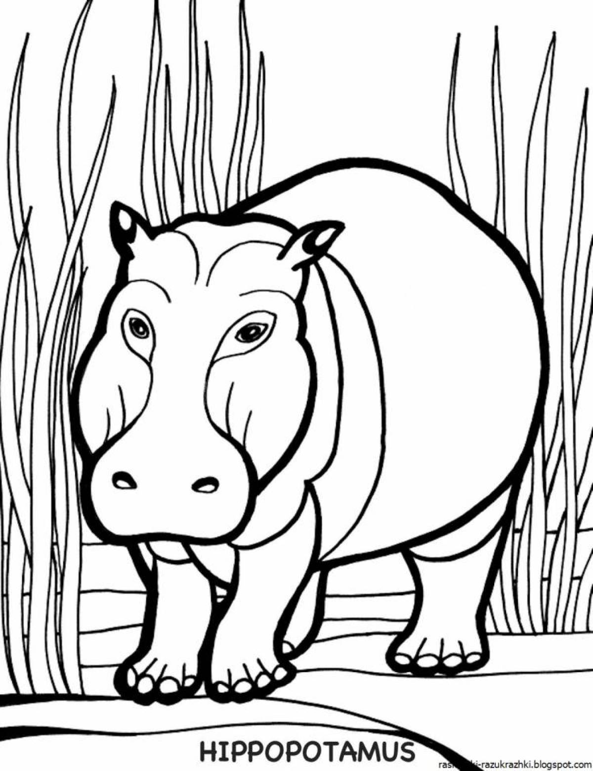 Бегемотик раскраска для детей. Рисунки для раскрашивания бегемот. Бегемот раскраска. Бегемот раскраска. Распечатать бегемота.