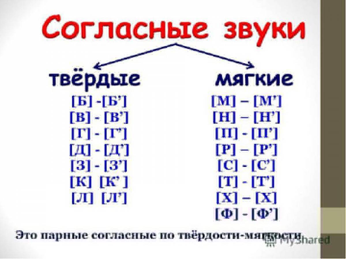 стол стулья тарелка цветы ромашка календарь