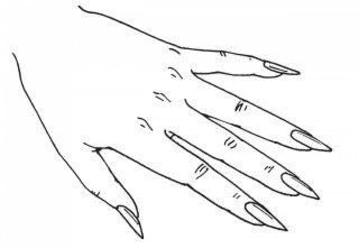 Раскраска блестящая рука с ногтями