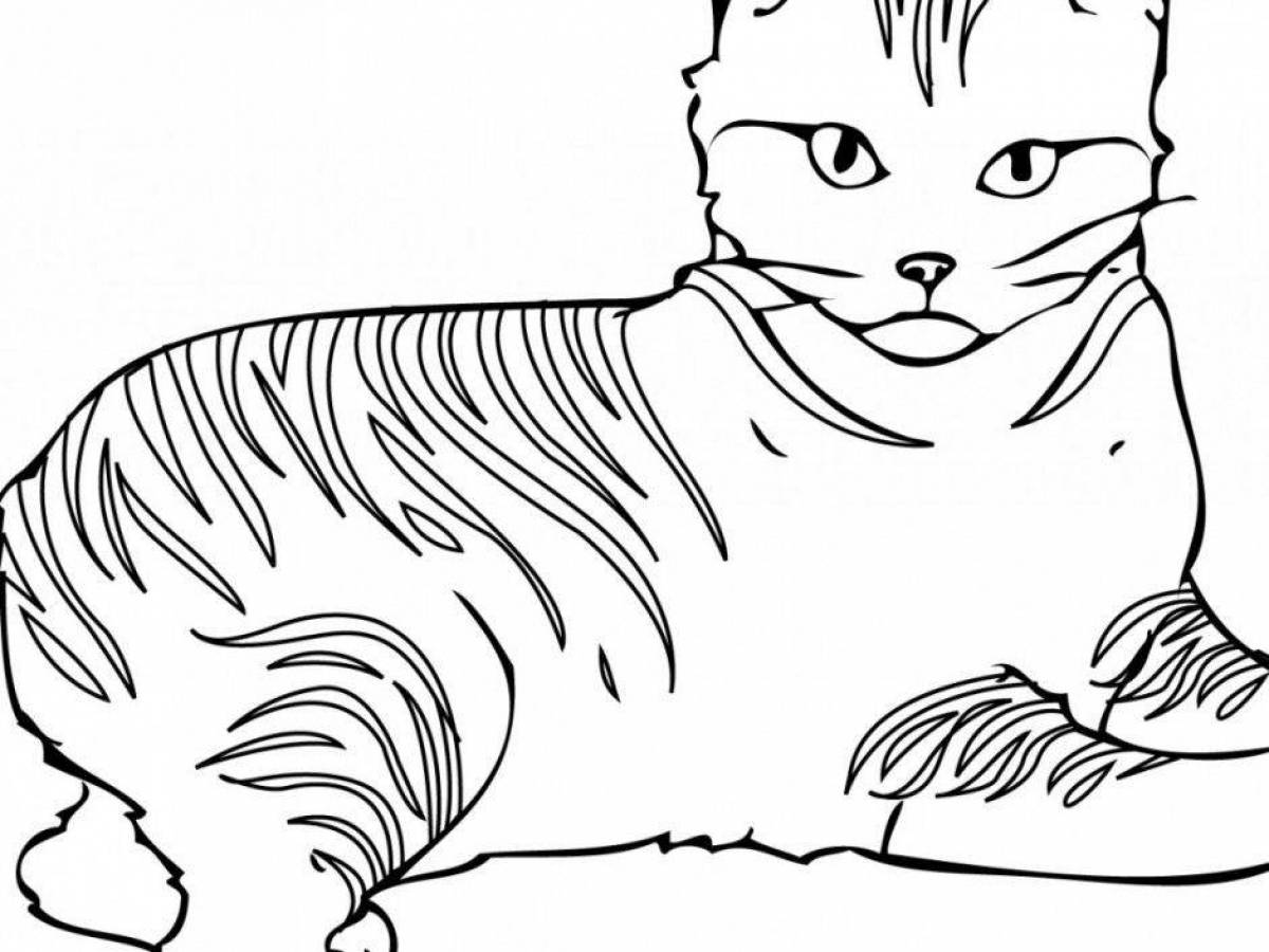 Восхитительная кошка лана раскраска