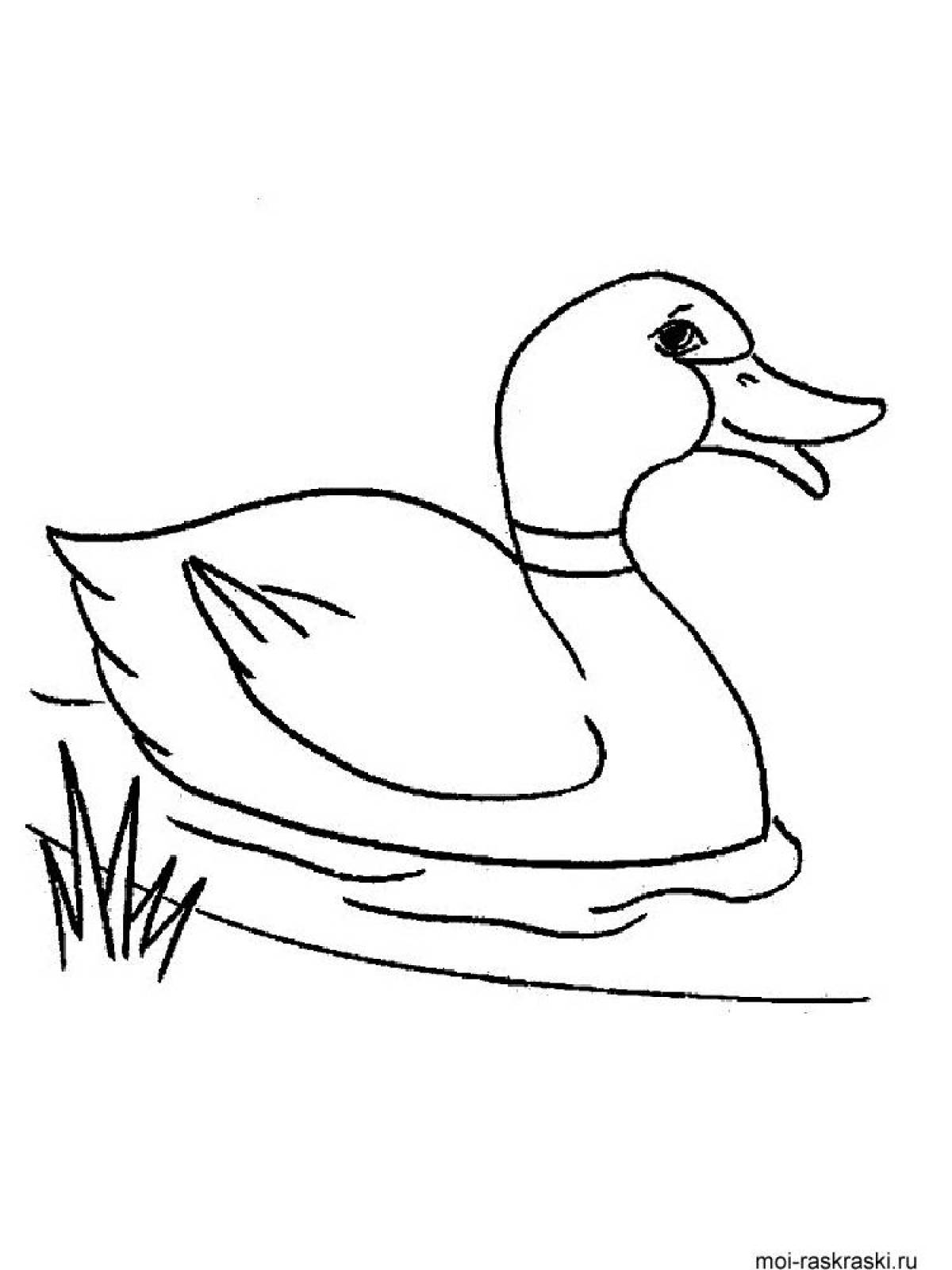 Lalafanfan duck funny coloring book