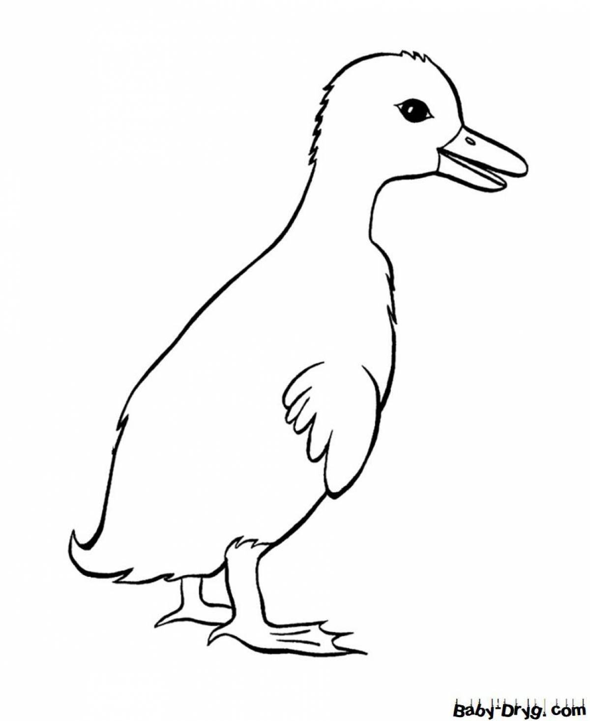 Lalafanfan duck coloring page