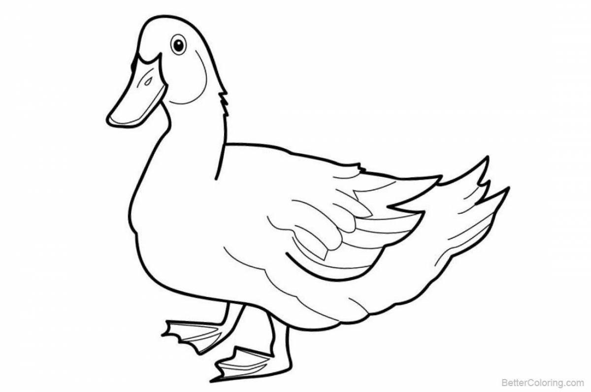 Lalafanfan duck coloring page #8
