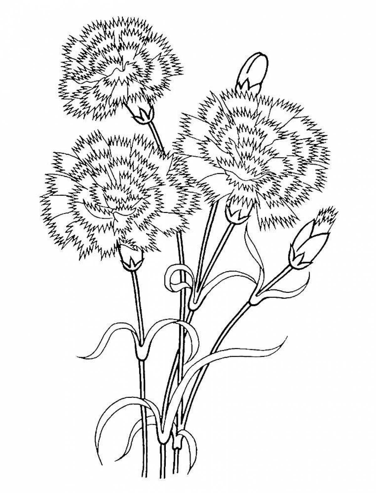 Colorful carnation coloring book for kids