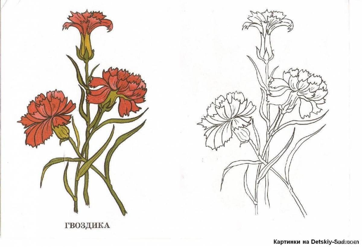 Glowing carnation coloring book for kids