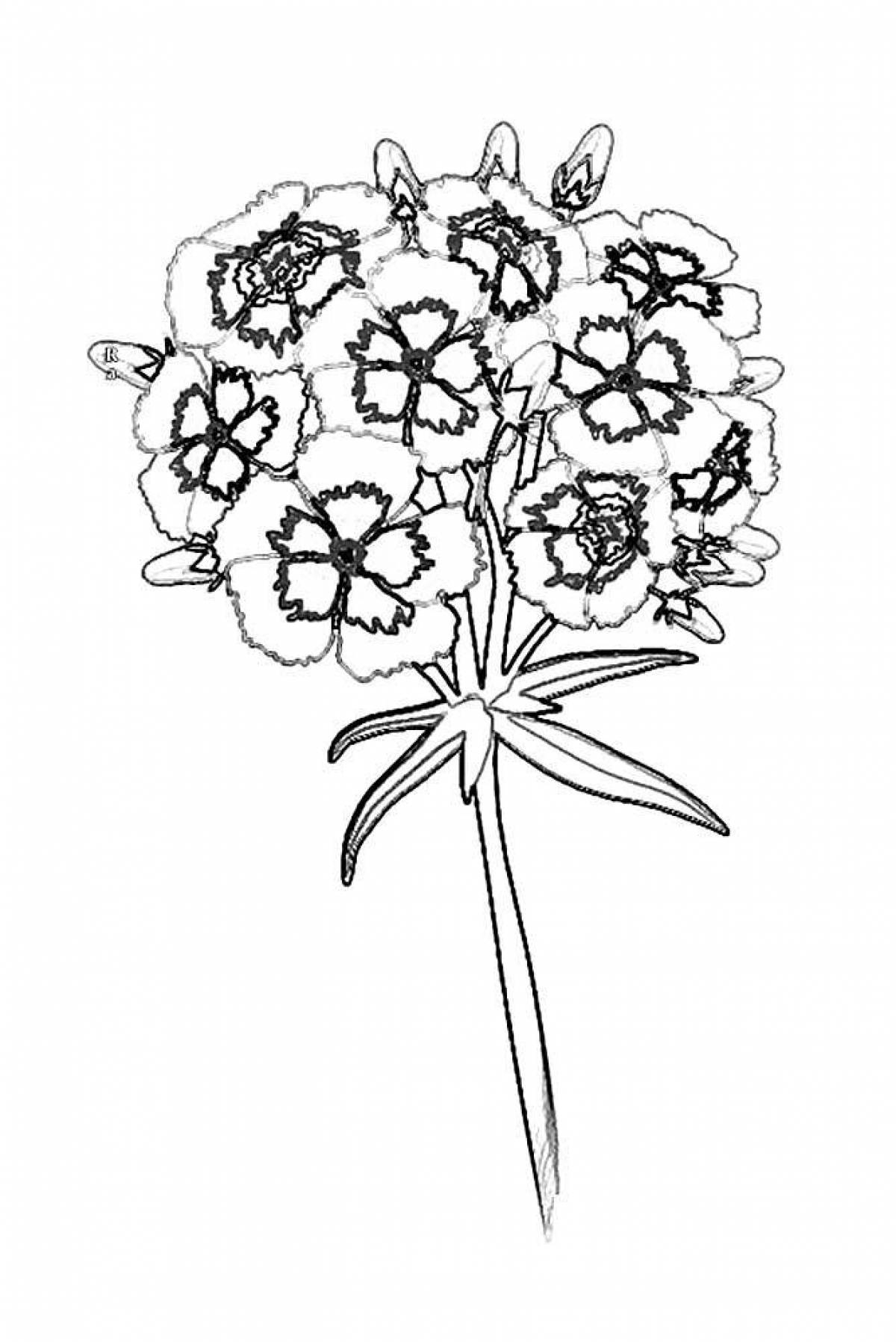 Junior glitter carnation coloring page