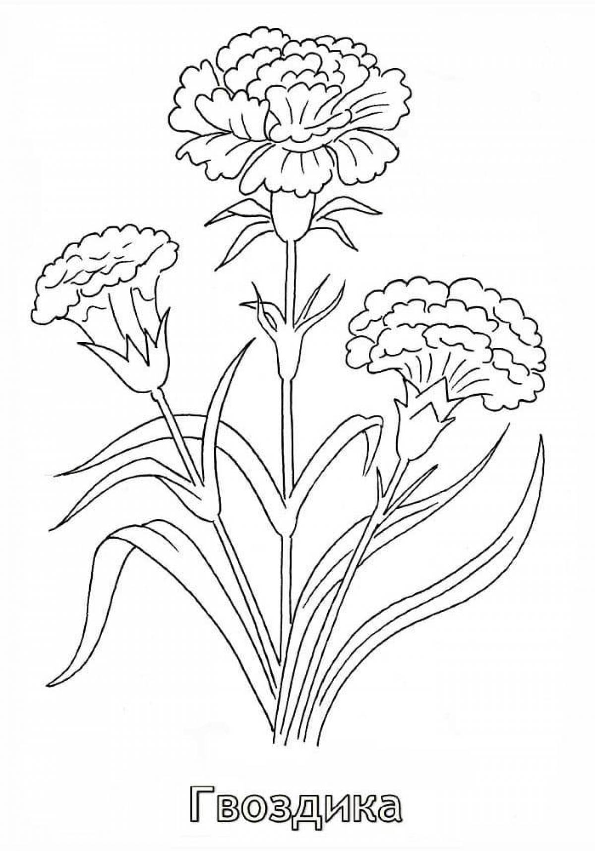 Fun carnation coloring for students
