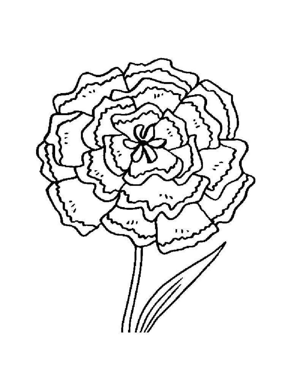 Coloring book shining carnation for students