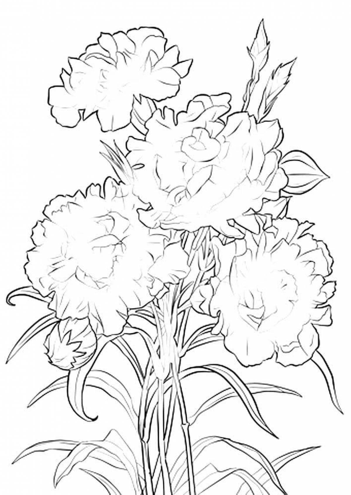 Animated carnation coloring page for kids
