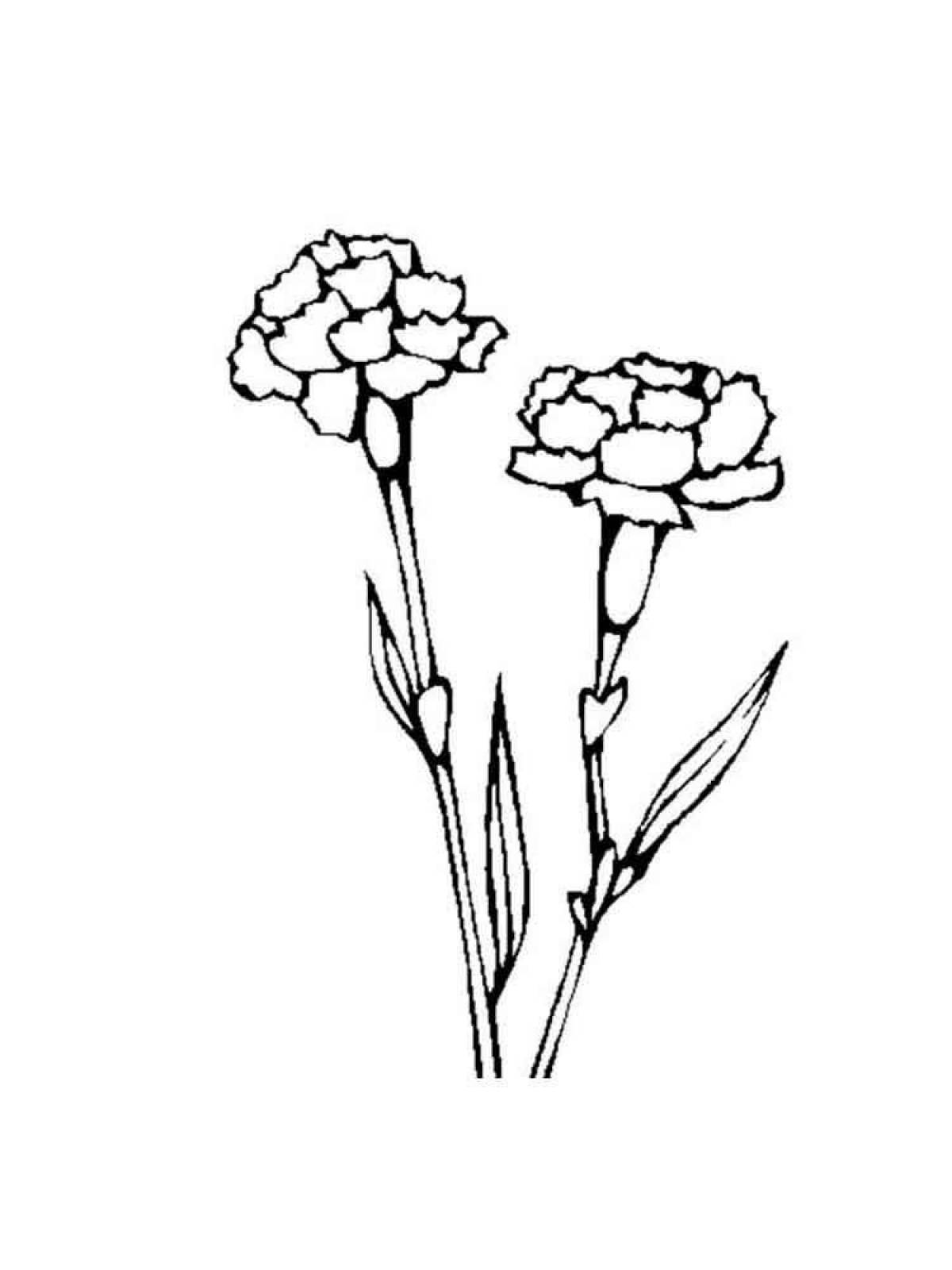 Playful carnation coloring page for kids