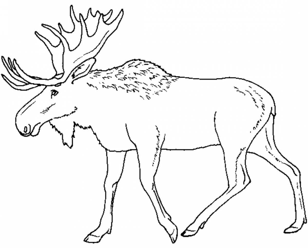 Joyful elk coloring for kids