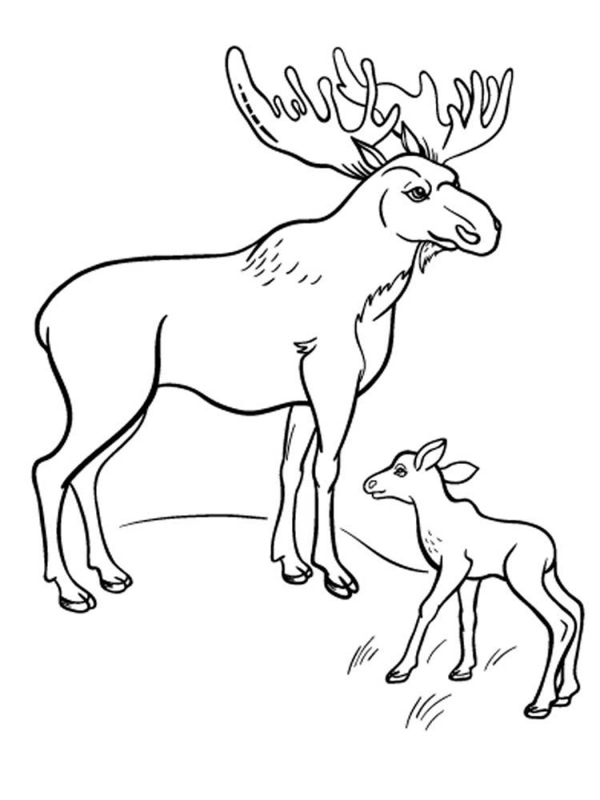 Delightful elk coloring for kids