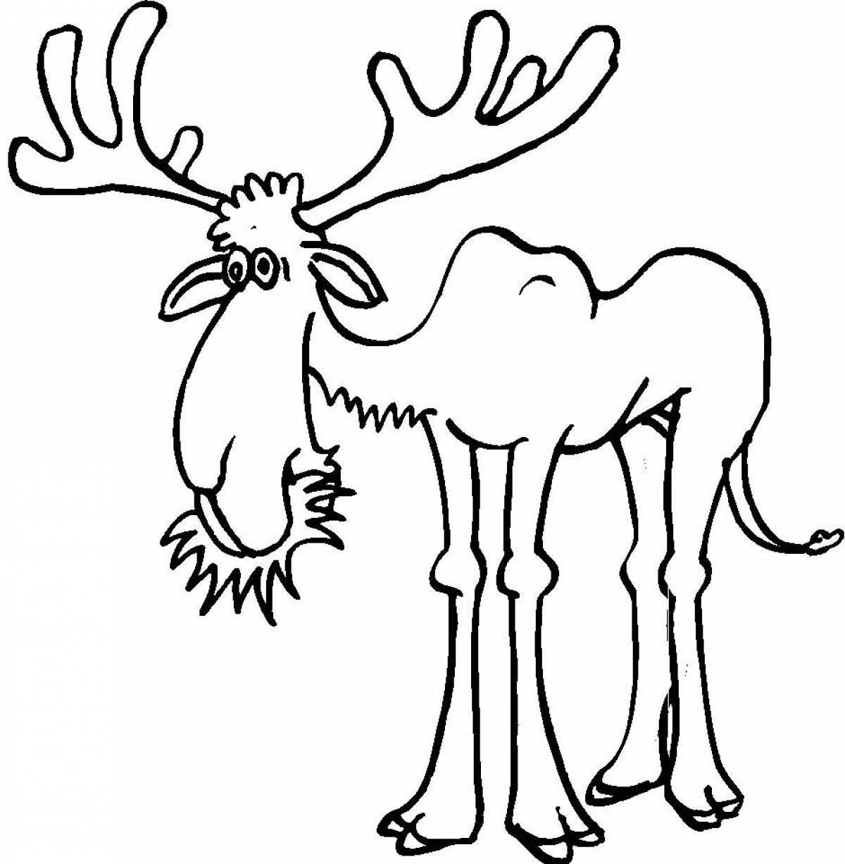 A fun moose coloring book for kids
