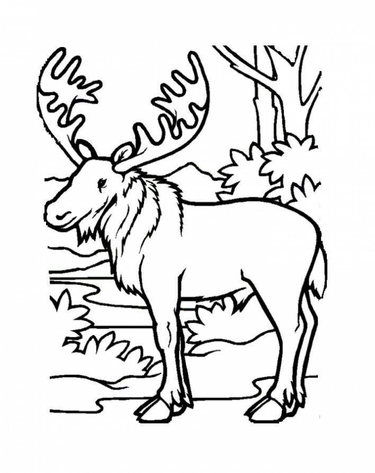 Fabulous elk coloring book for kids
