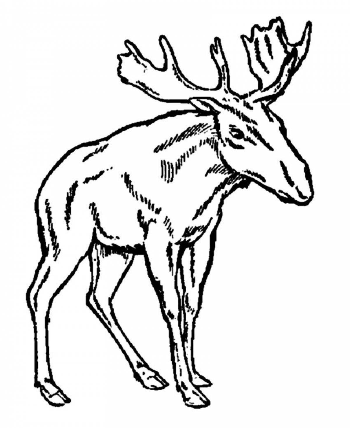 Great elk coloring book for kids