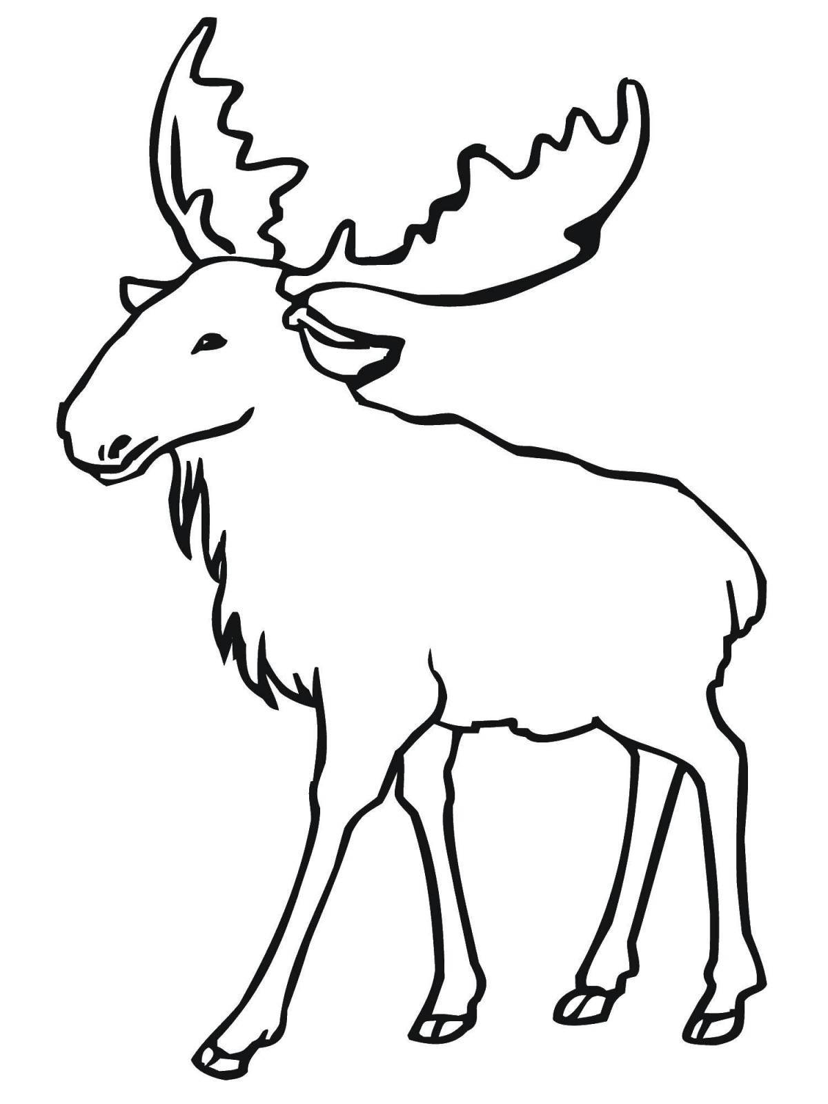 Outstanding elk coloring for kids