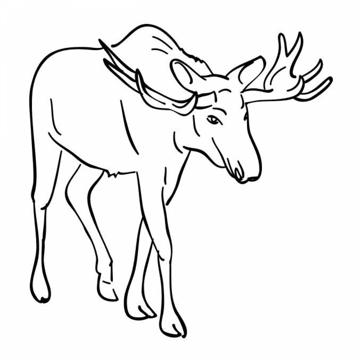 Coloring book shining elk for kids