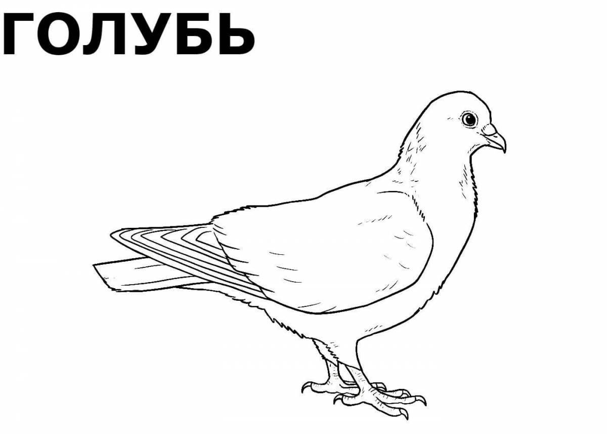 Раскраска ослепительная птица для детей 3-4 лет