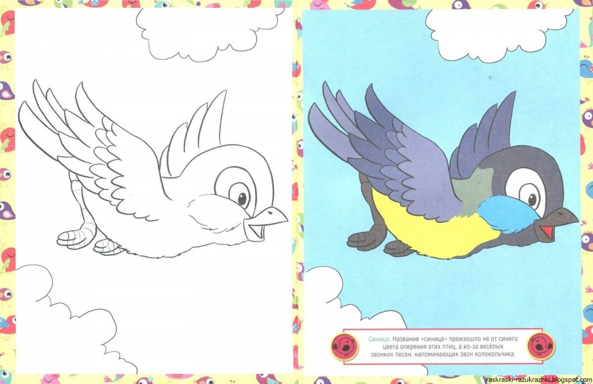 Coloring book bright bird for children 3-4 years old